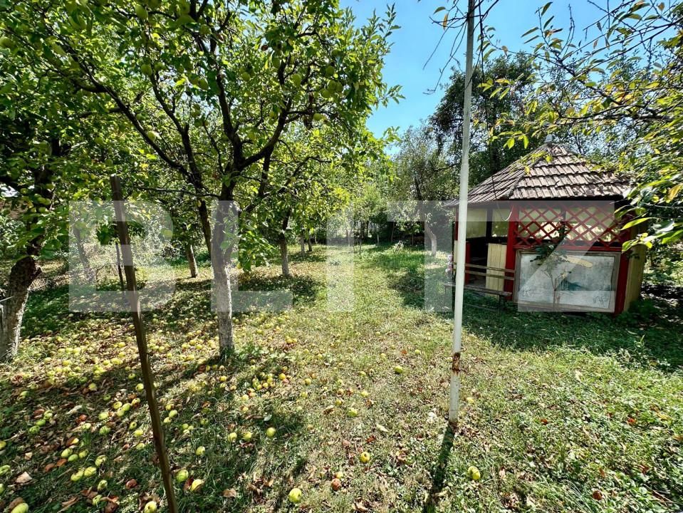 Casa de vânzare 4 camere Sebeș - 157119CV | BLITZ Alba Iulia | Poza7