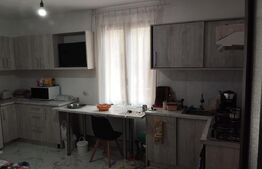 Casa 190mp utili 6 camere 1 bucătatie living 6 bai 8850 mp Com. Arieseni
