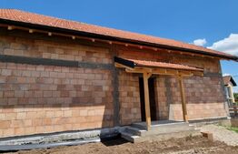 Casă la roșu, 1007mp teren, zona Vințu de Jos