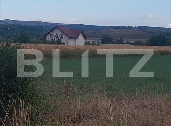 Teren de vânzare Oarda - 157348TV | BLITZ Alba Iulia | Poza1