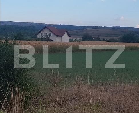 Teren de vânzare Oarda - 157348TV | BLITZ Alba Iulia | Poza1