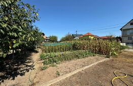 Casă individuală în Micăști – curte largă, zonă exclusivistă”