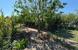 Casa de vanzare zona micesti 