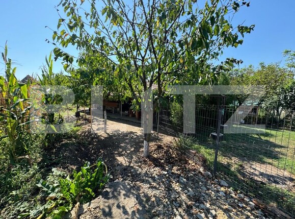 Casa de vânzare 3 camere Micești - 157383CV | BLITZ Alba Iulia | Poza6