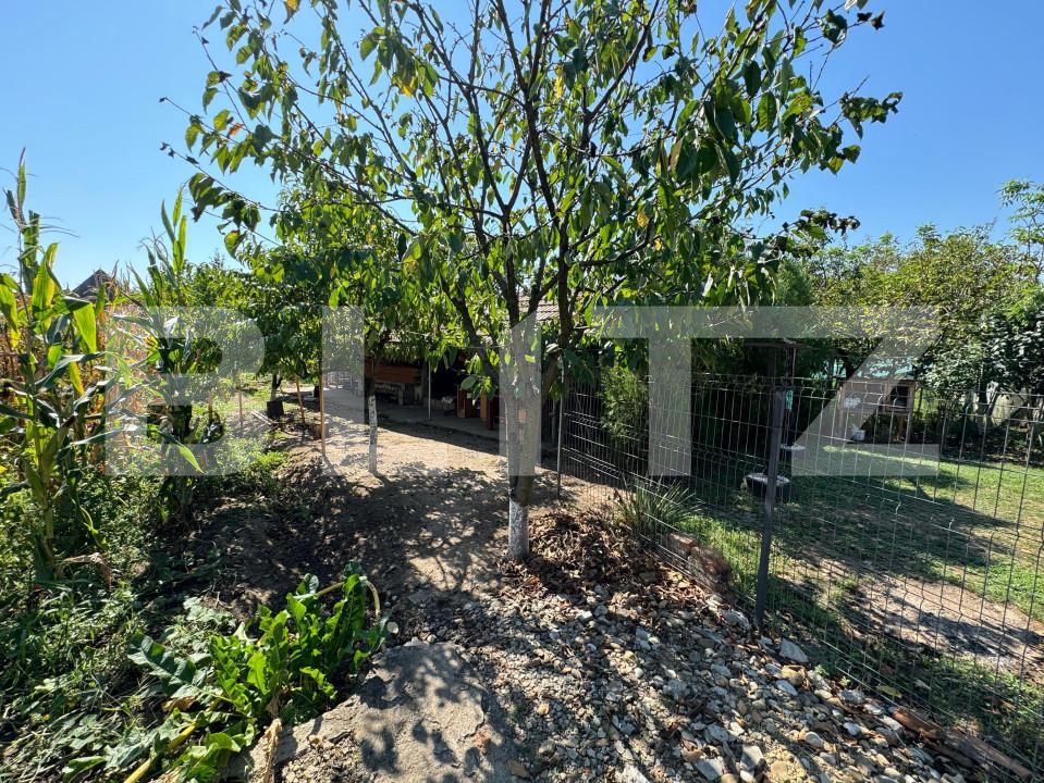 Casa de vânzare 3 camere Micești - 157383CV | BLITZ Alba Iulia | Poza6