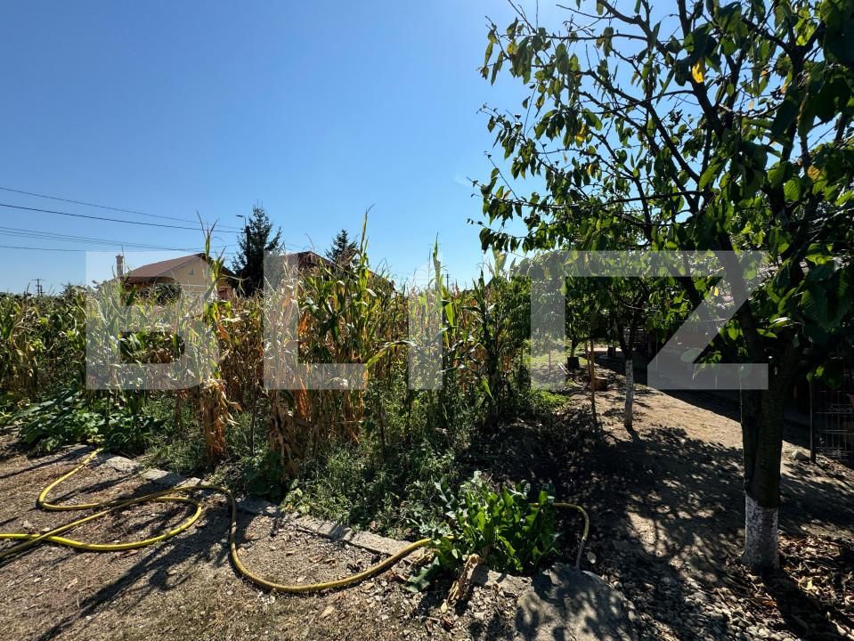 Casa de vânzare 3 camere Micești - 157383CV | BLITZ Alba Iulia | Poza7