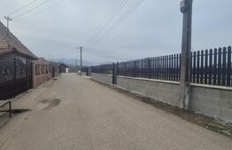 Teren intravilan, 650 mp, Sard