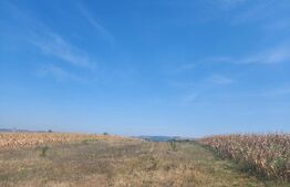 Teren extravilan,parcelat, 10180 mp, Oarda de Jos