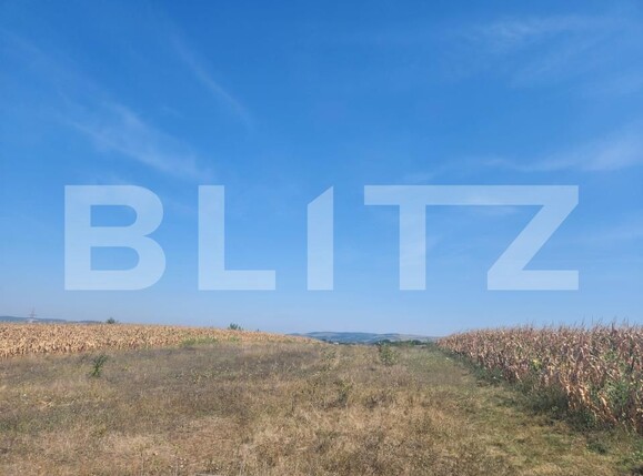 Teren de vânzare Sud - 157427TV | BLITZ Alba Iulia | Poza1