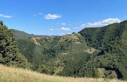 Teren intravilan in Martinie,Sugag