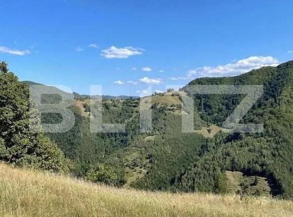 Teren de vânzare Sebeș - 157475TV | BLITZ Alba Iulia | Poza1