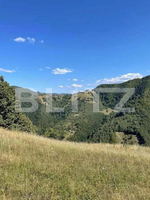 Teren de vânzare Sebeș - 157475TV | BLITZ Alba Iulia | Poza1