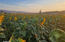 Teren - destinatie industriala, 3 strazi deschidere, 5.7HA