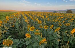 Teren - destinatie industriala, 3 strazi deschidere, 5.7HA