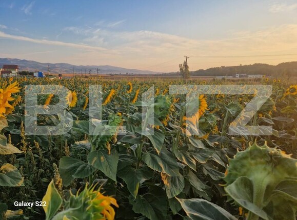 Teren de vânzare Sud - 157479TV | BLITZ Alba Iulia | Poza6