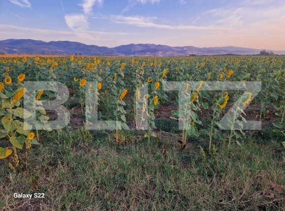 Teren de vânzare Sud - 157479TV | BLITZ Alba Iulia | Poza5