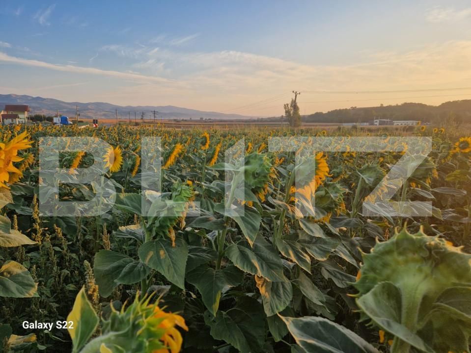 Teren de vânzare Sud - 157479TV | BLITZ Alba Iulia | Poza6