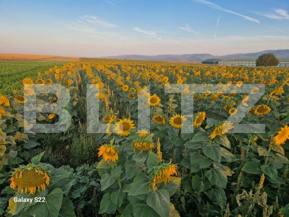 Teren de vânzare Sud - 157479TV | BLITZ Alba Iulia | Poza2