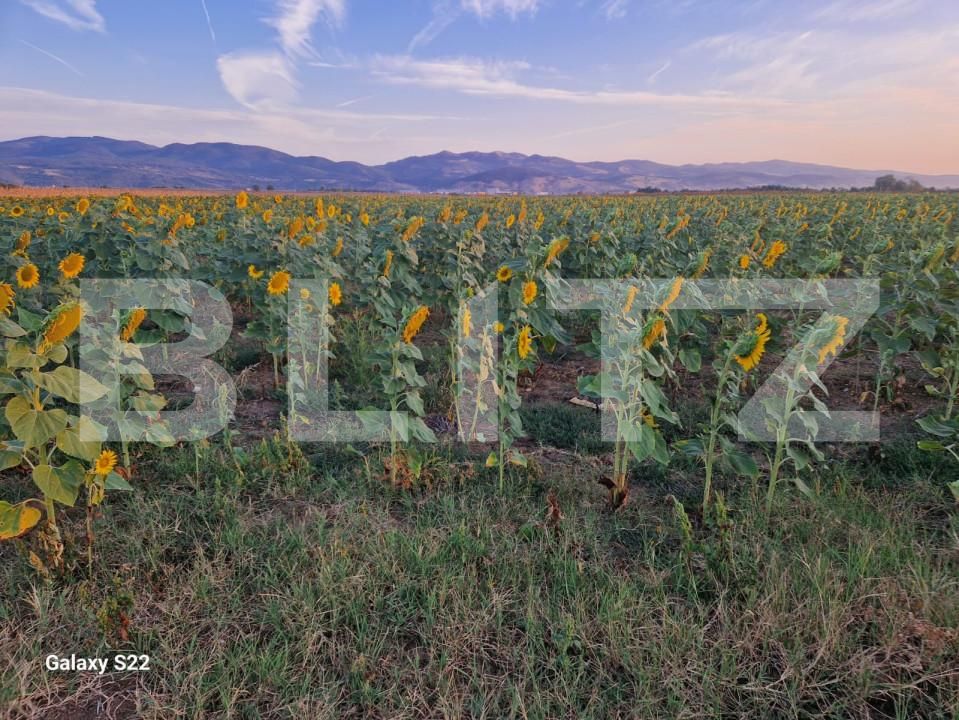 Teren de vânzare Sud - 157479TV | BLITZ Alba Iulia | Poza5