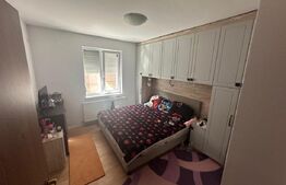 Apartament 2 camere, decomandat, 45mp, curte 77mp, zona Cetate