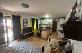 Apartament 2 camere, decomandat, 45mp, curte 77mp, zona Cetate