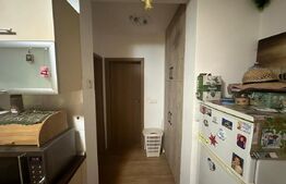 Apartament 2 camere, decomandat, 45mp, curte 77mp, zona Cetate