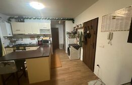 Apartament 2 camere, decomandat, 45mp, curte 77mp, zona Cetate