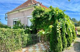 Casa individuala cu teren 2000 mp, Vintu de Jos