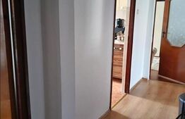 Apartament 4 camere in Sebes