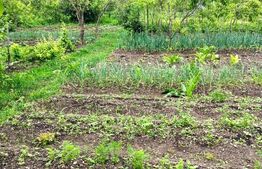 Casa individuala 4 camere, teren 1800 mp, Oiejdea