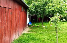 Casa individuala 4 camere, teren 1800 mp, Oiejdea