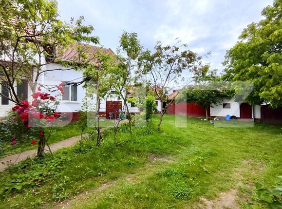 Casa de vânzare 4 camere Nord Est - 157770CV | BLITZ Alba Iulia | Poza12