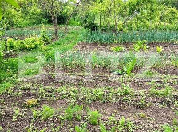 Casa de vânzare 4 camere Nord Est - 157770CV | BLITZ Alba Iulia | Poza8