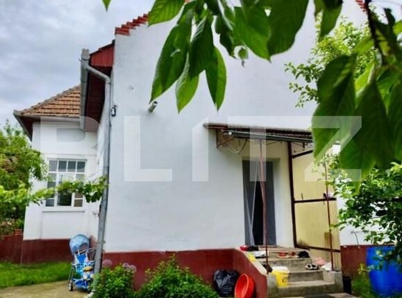 Casa de vânzare 4 camere Nord Est - 157770CV | BLITZ Alba Iulia | Poza9
