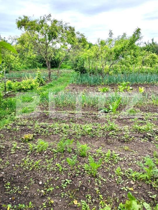 Casa de vânzare 4 camere Nord Est - 157770CV | BLITZ Alba Iulia | Poza8