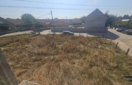 Casa individuala la rosu, 6 camere, teren 4900 mp, Vintu de Jos