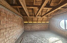 Casa individuala la rosu, 6 camere, teren 4900 mp, Vintu de Jos