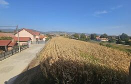 Casa individuala la rosu, 6 camere, teren 4900 mp, Vintu de Jos