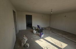 Casa individuala la rosu, 6 camere, teren 4900 mp, Vintu de Jos