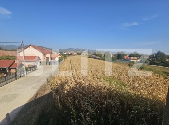 Casa de vânzare 6 camere Vinţu de Jos - 157865CV | BLITZ Alba Iulia | Poza3