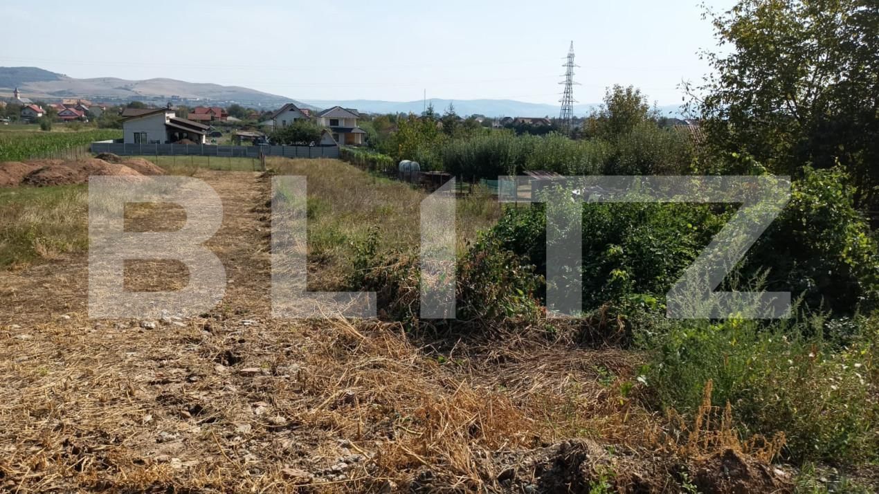 Teren de vânzare Micești - 157889TV | BLITZ Alba Iulia | Poza1