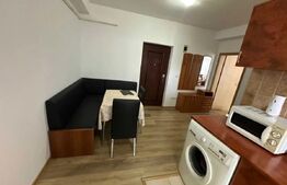 Apartament 1 camera, Zona Cetate