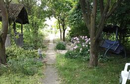 Casa individuala, 4 camere, zona centrala 