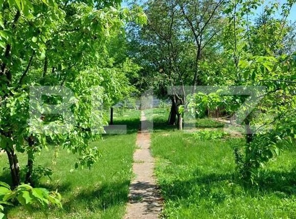 Casa de vânzare 3 camere Central - 158183CV | BLITZ Alba Iulia | Poza4