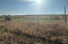 Teren extravilan, 500 mp, Oarda de Jos