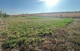 Teren extravilan, Oarda de Jos, 2072 mp, parcele intre 500-572 mp