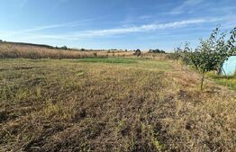 Teren extravilan, Oarda de Jos, 2072 mp, parcele intre 500-572 mp