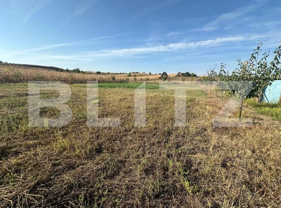Teren de vânzare Oarda - 158204TV | BLITZ Alba Iulia | Poza1