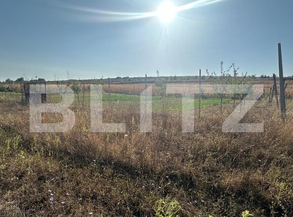Teren de vânzare Oarda - 158204TV | BLITZ Alba Iulia | Poza3
