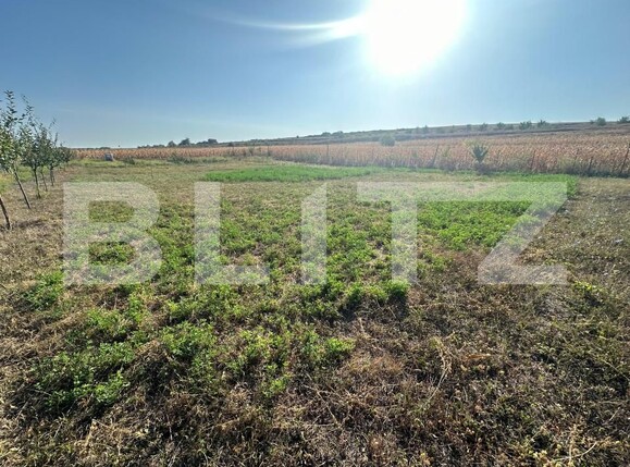 Teren de vânzare Oarda - 158204TV | BLITZ Alba Iulia | Poza1